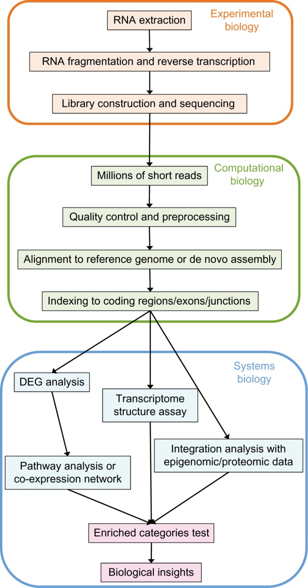 Overview of the typical RNA-seq pipeline. <ins><em>Source:</em></ins> <a href="https://www.ncbi.nlm.nih.gov/pmc/articles/PMC4648566/" target="_blank">Fig.1 of <em>Han et al. 2015</em></a>